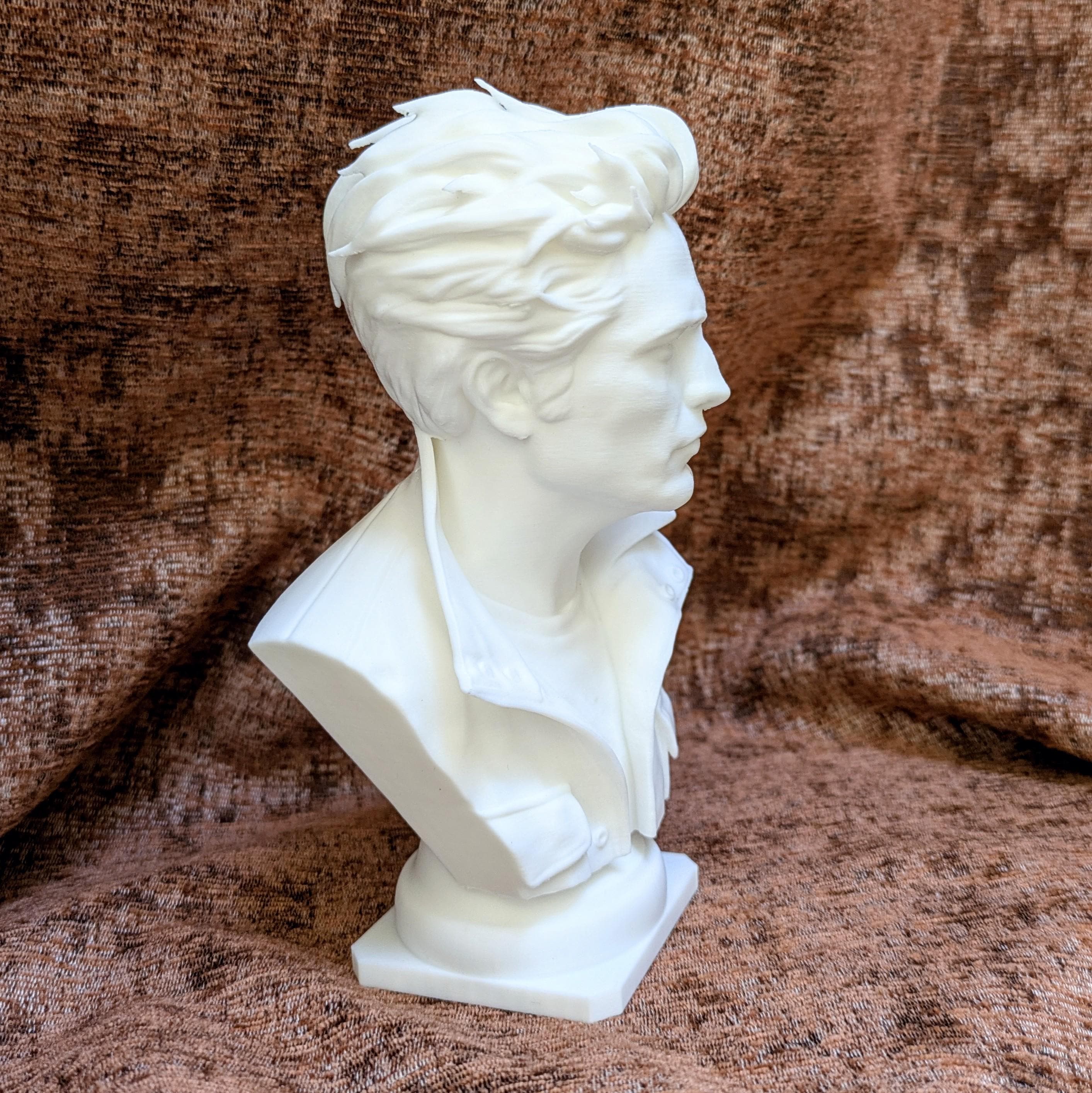 Edward Cullen Inspired Bust | Twilight Fan Art | 3D Printed Display Figurine