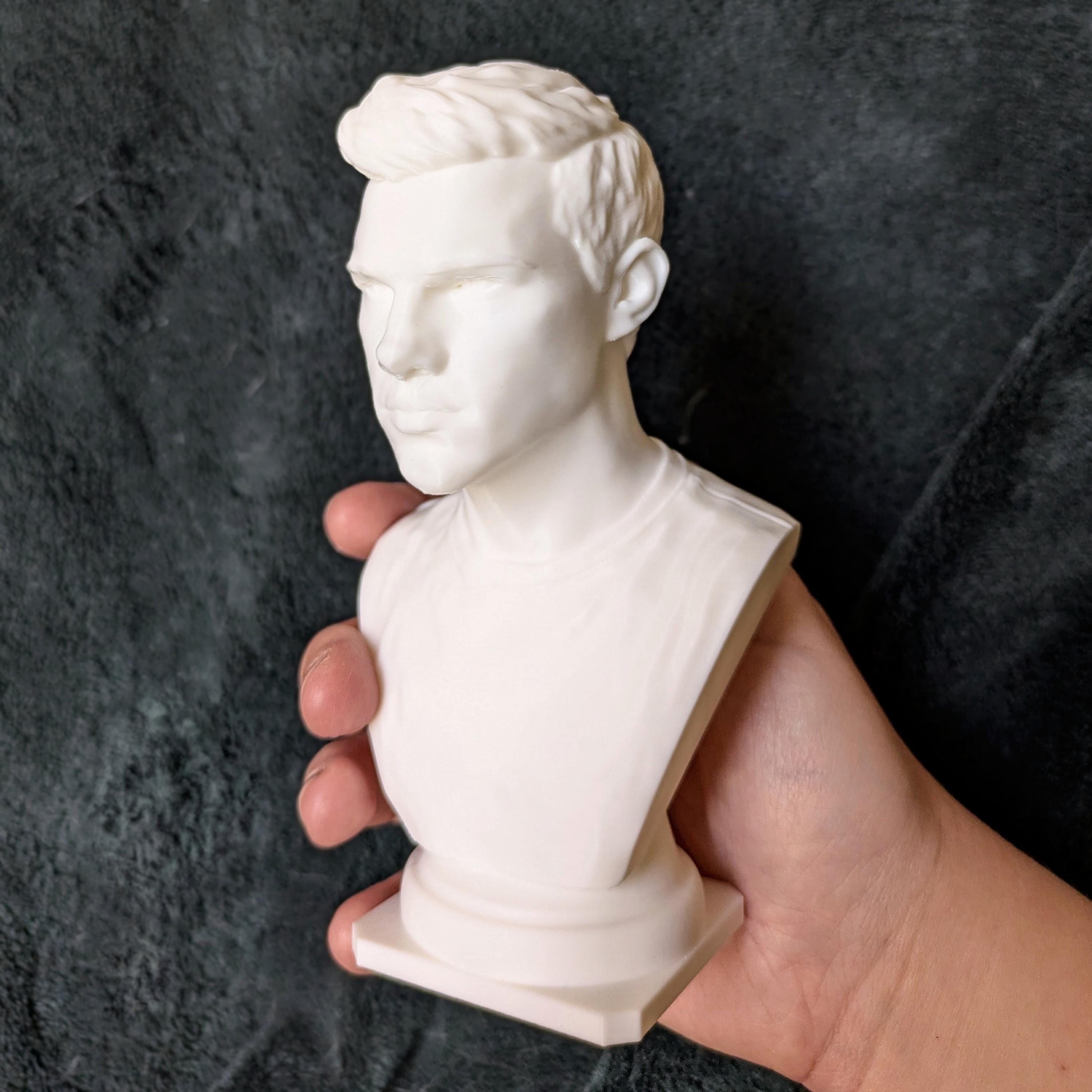 Jacob Black Inspired Bust | Twilight Fan Art | 3D Printed Bookshelf Decor