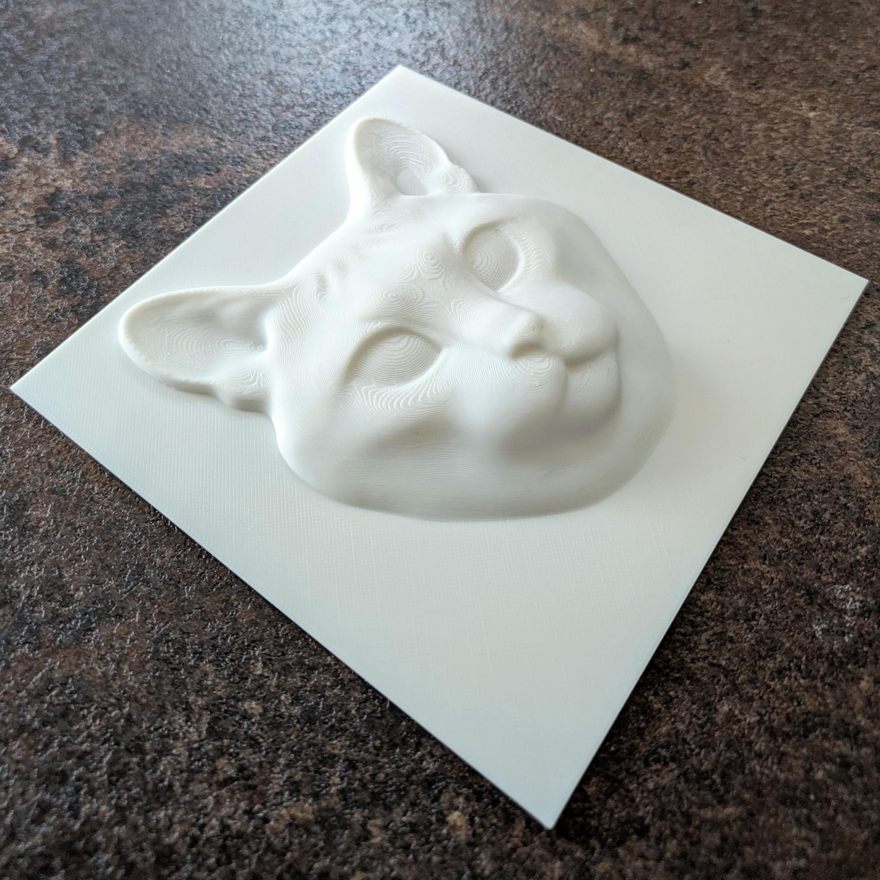 Paint Your Own Cat Canvas | 3D Printed Cat Face | Creative Cat Lover Gift
