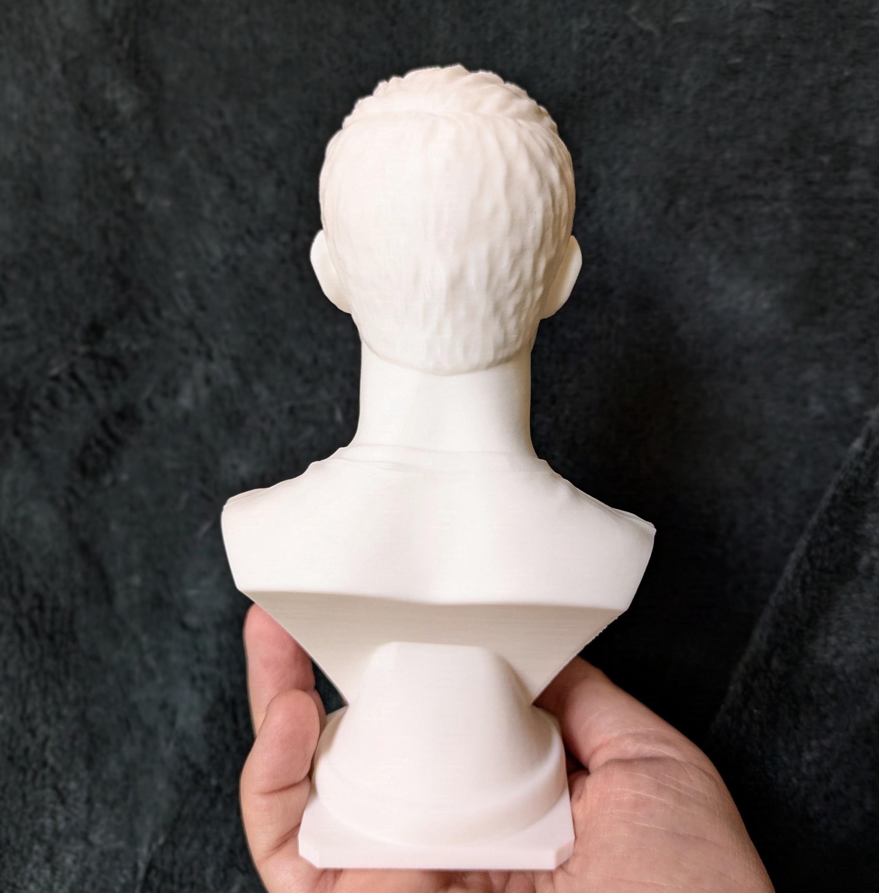 Jacob Black Inspired Bust | Twilight Fan Art | 3D Printed Bookshelf Decor