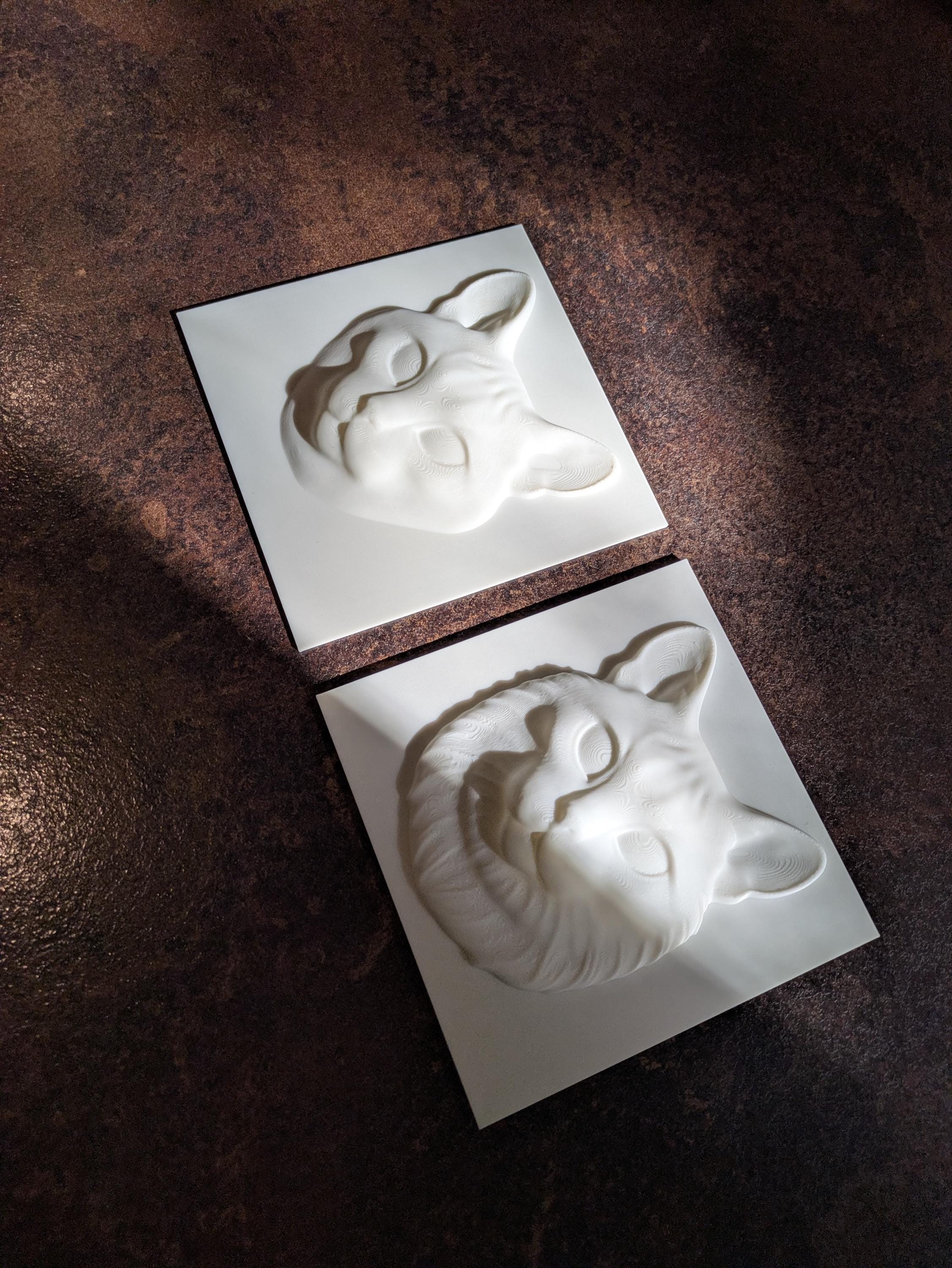 Paint Your Own Cat Canvas | 3D Printed Cat Face | Creative Cat Lover Gift