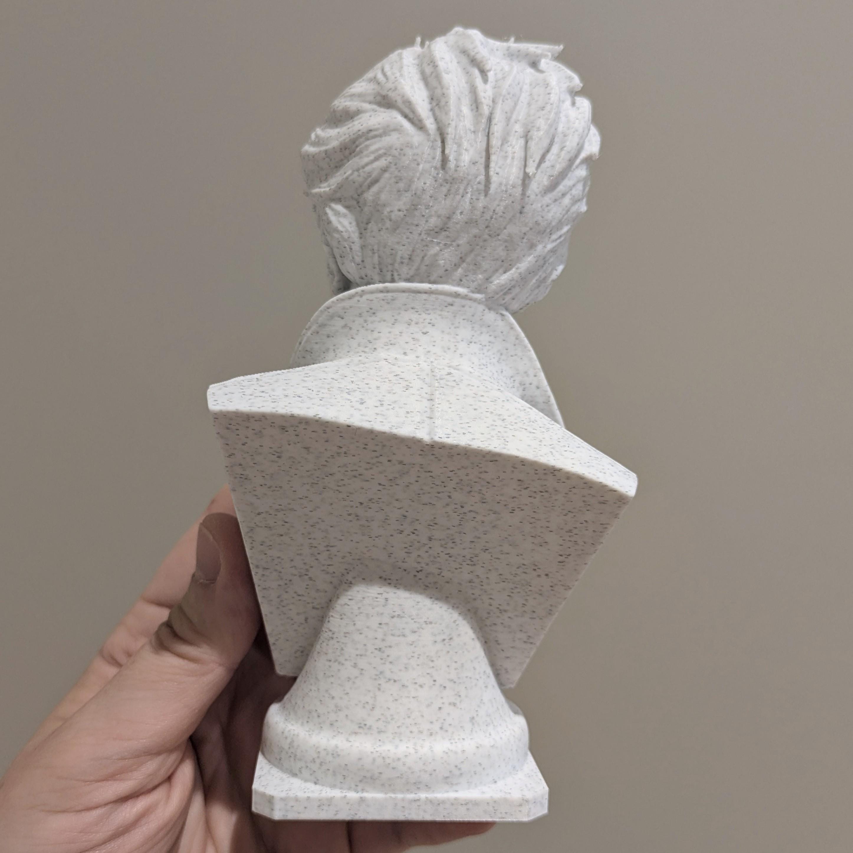 Edward & Bella Inspired Marble Bust Set | Twilight Fan Art | 3D Printed Display Figurines