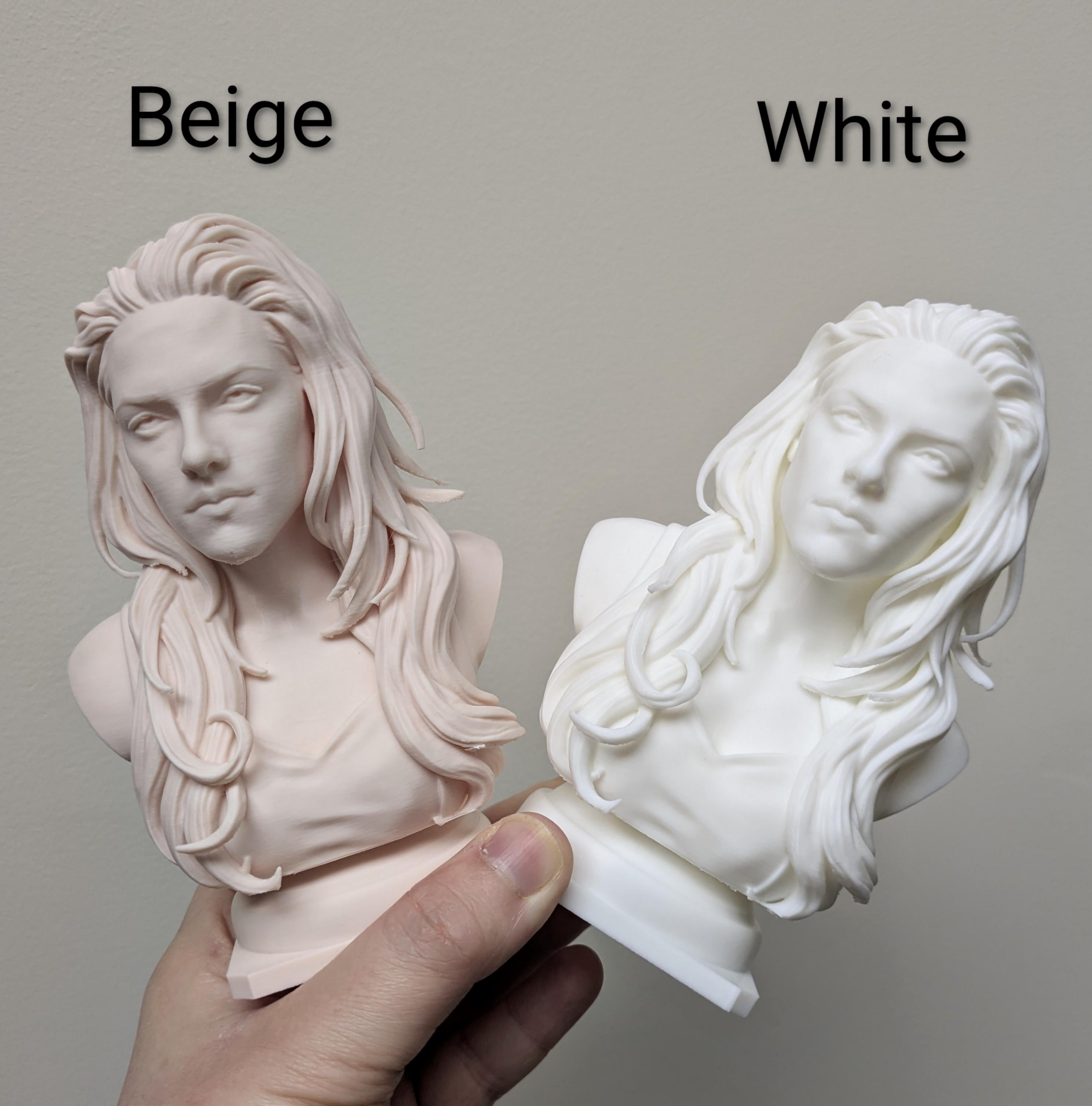 Bella Swan Inspired Bust | Twilight Fan Art | 3D Printed Display Figurine