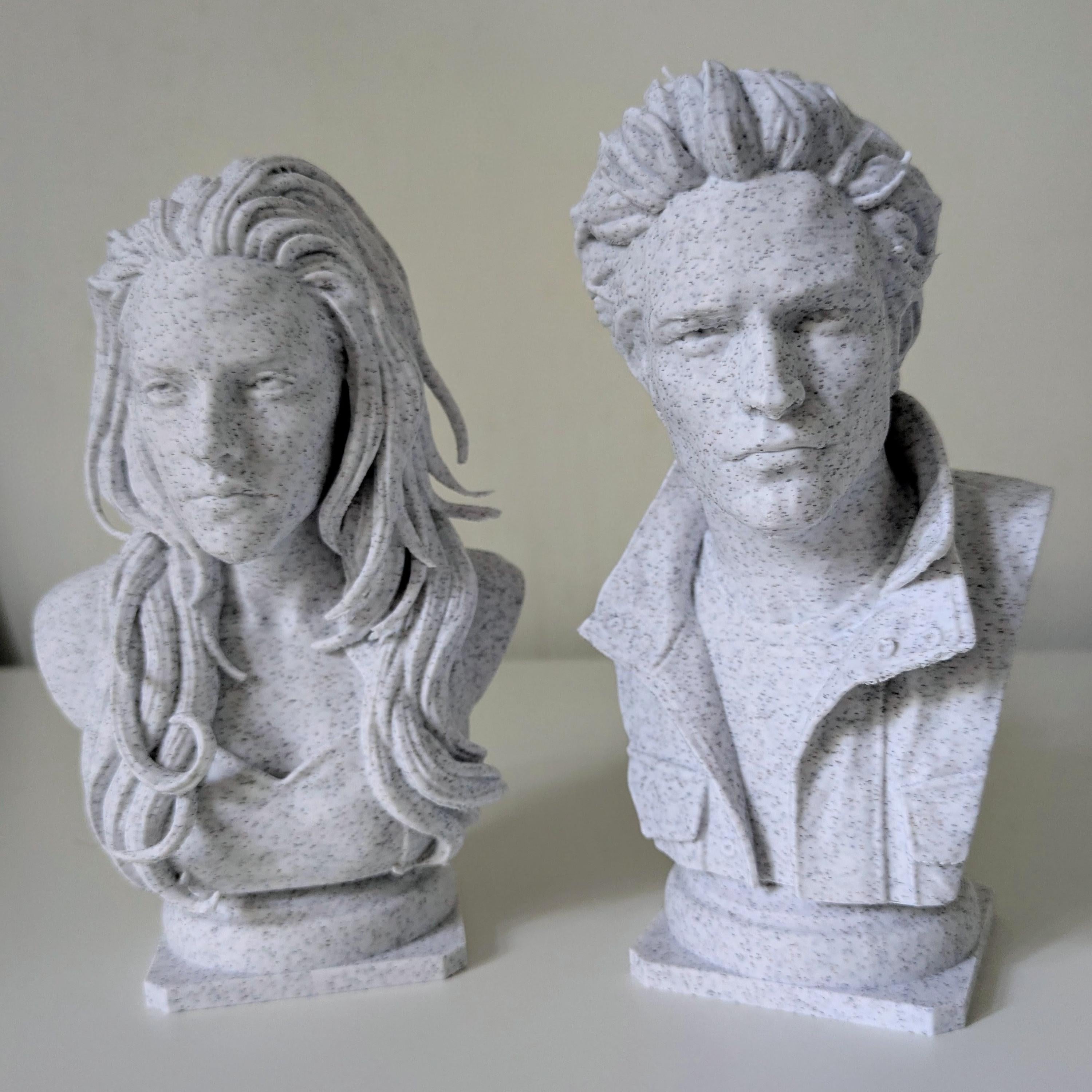 Edward & Bella Inspired Marble Bust Set | Twilight Fan Art | 3D Printed Display Figurines