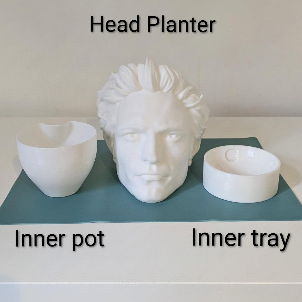 Edward Cullen Inspired Head Planter | Twilight Fan Art | 3D Printed Gothic Plant Pot