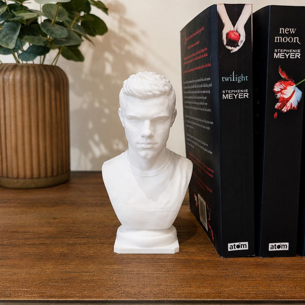 Jacob Black Inspired Bust | Twilight Fan Art | 3D Printed Bookshelf Decor
