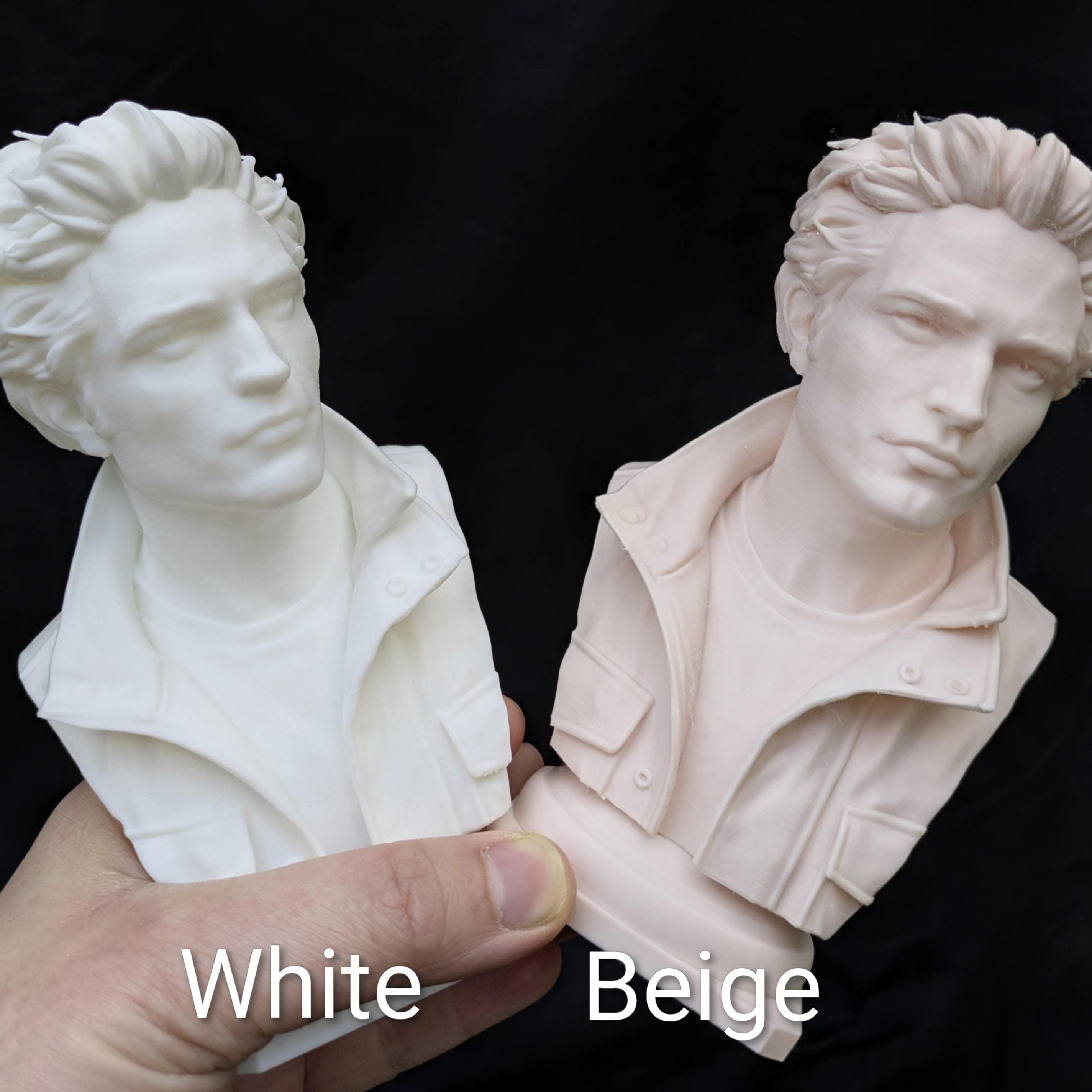 Edward Cullen Inspired Bust | Twilight Fan Art | 3D Printed Display Figurine