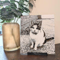 A custom pet portrait canvas print of a white, gray, and black cat named 'Milly' on a black wooden base, styled on a tabletop next to a ribbed glass vase with green leaves.