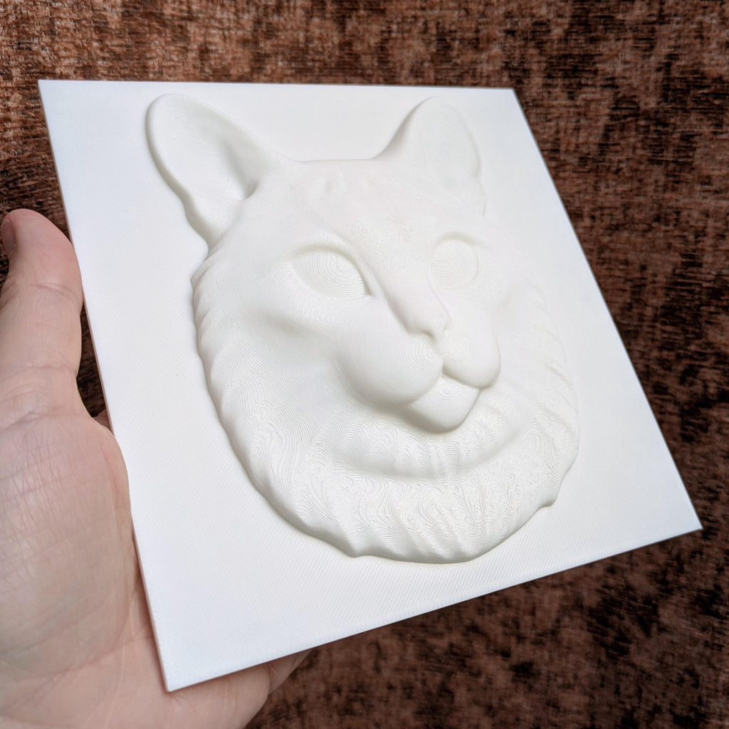 Paint Your Own Cat Canvas | 3D Printed Cat Face | Creative Cat Lover Gift