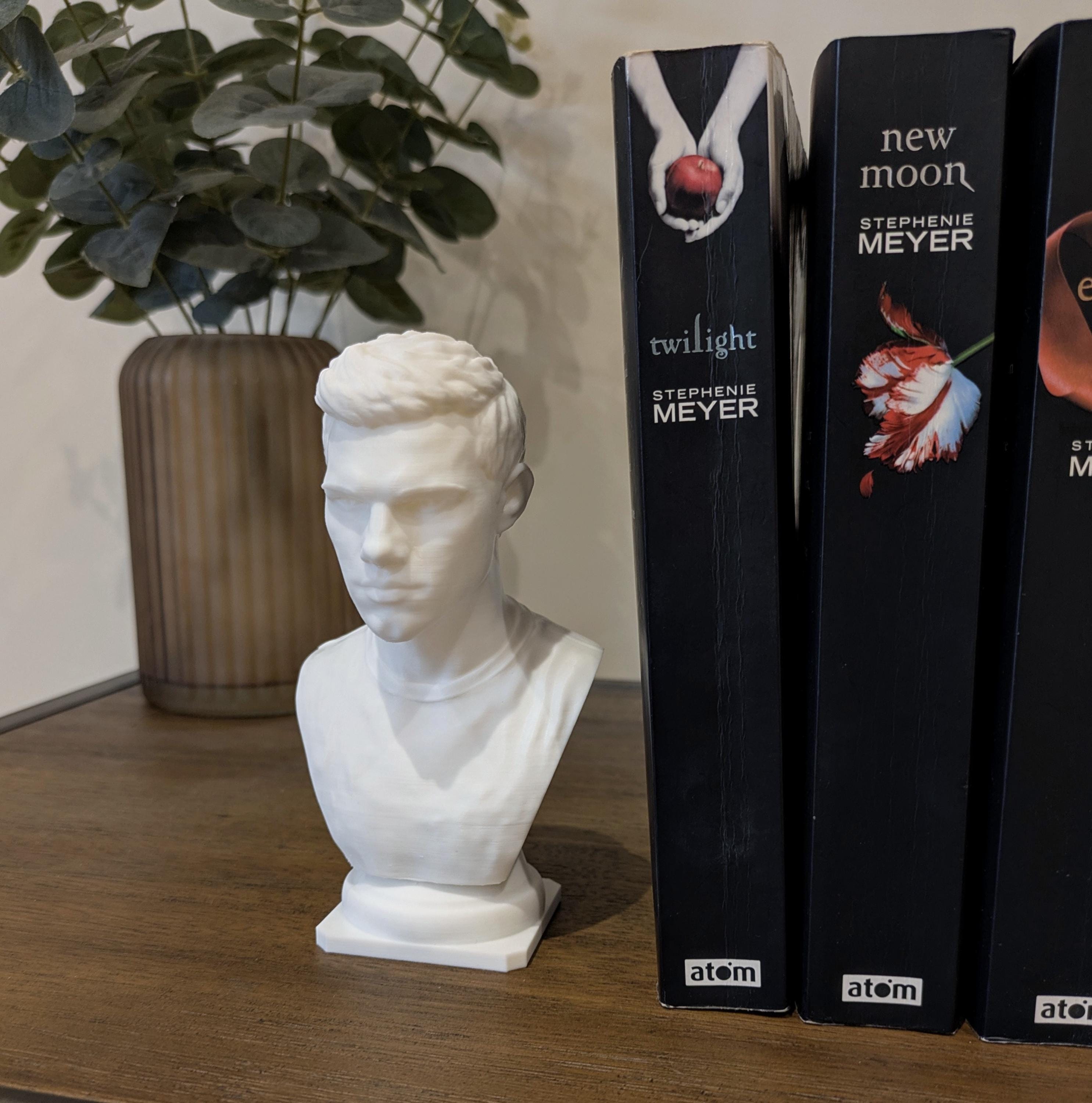 Jacob Black Inspired Bust | Twilight Fan Art | 3D Printed Bookshelf Decor