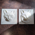 Paint Your Own Cat Canvas | 3D Printed Cat Face | Creative Cat Lover Gift