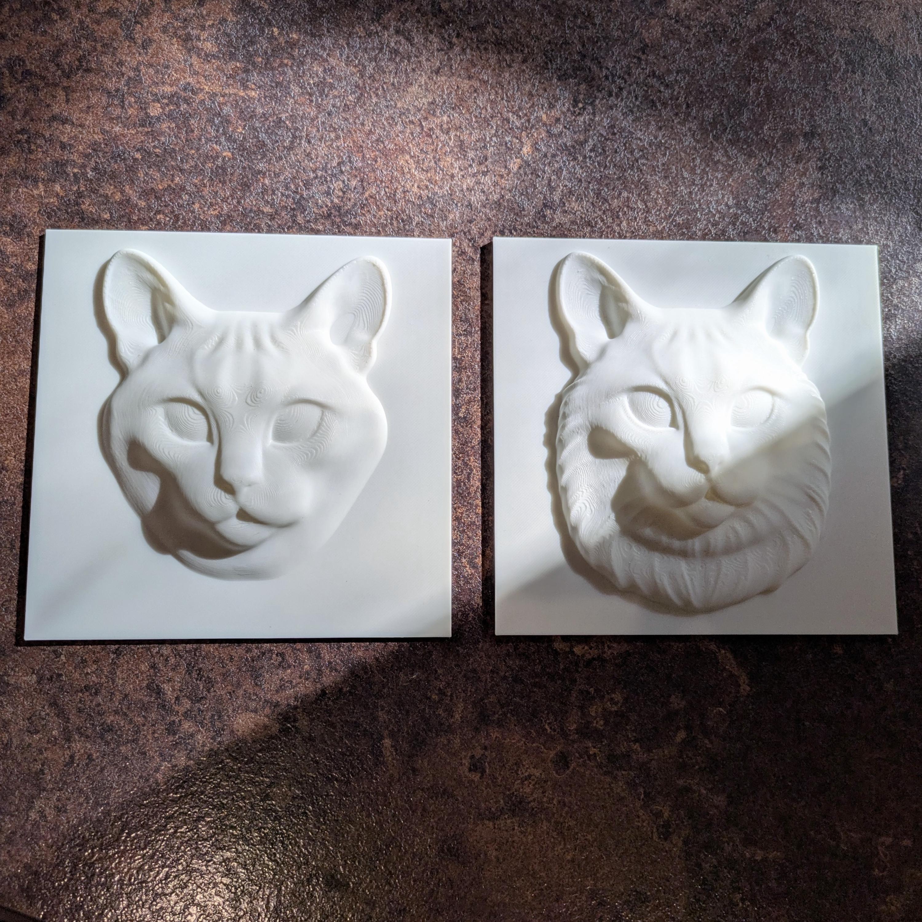 Paint Your Own Cat Canvas | 3D Printed Cat Face | Creative Cat Lover Gift