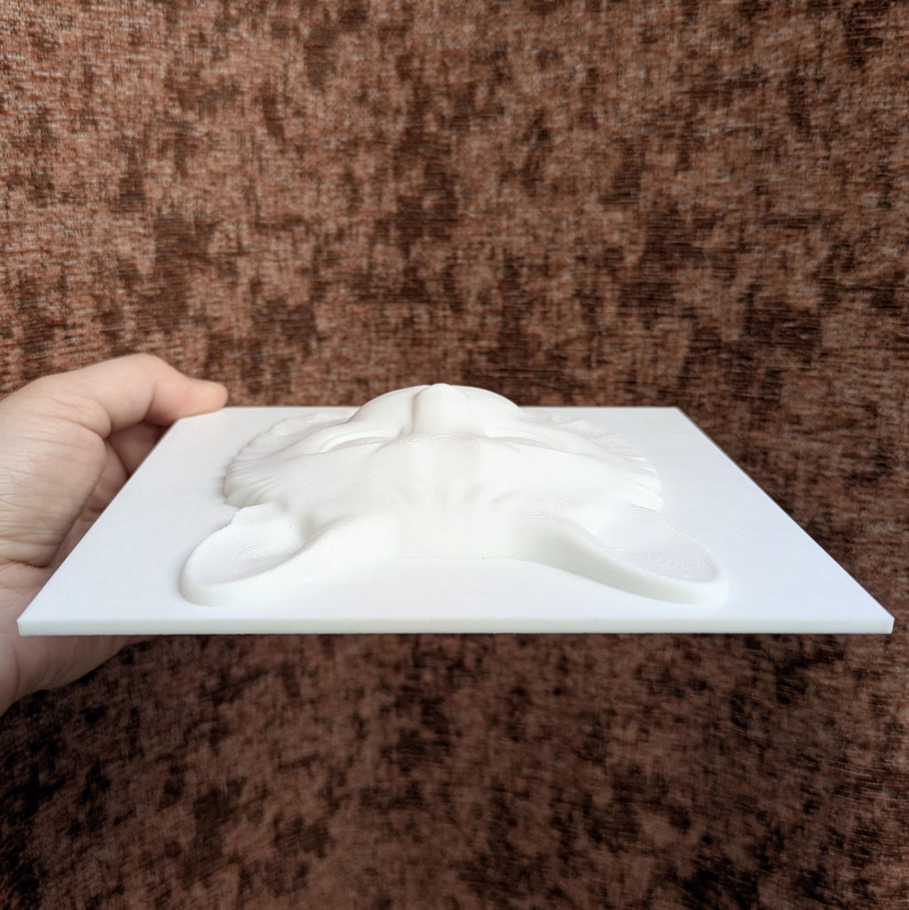 Paint Your Own Cat Canvas | 3D Printed Cat Face | Creative Cat Lover Gift