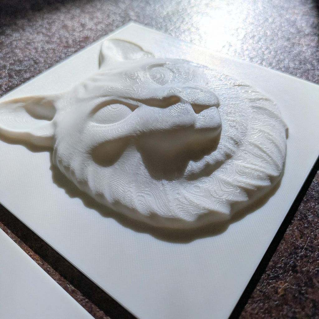Paint Your Own Cat Canvas | 3D Printed Cat Face | Creative Cat Lover Gift