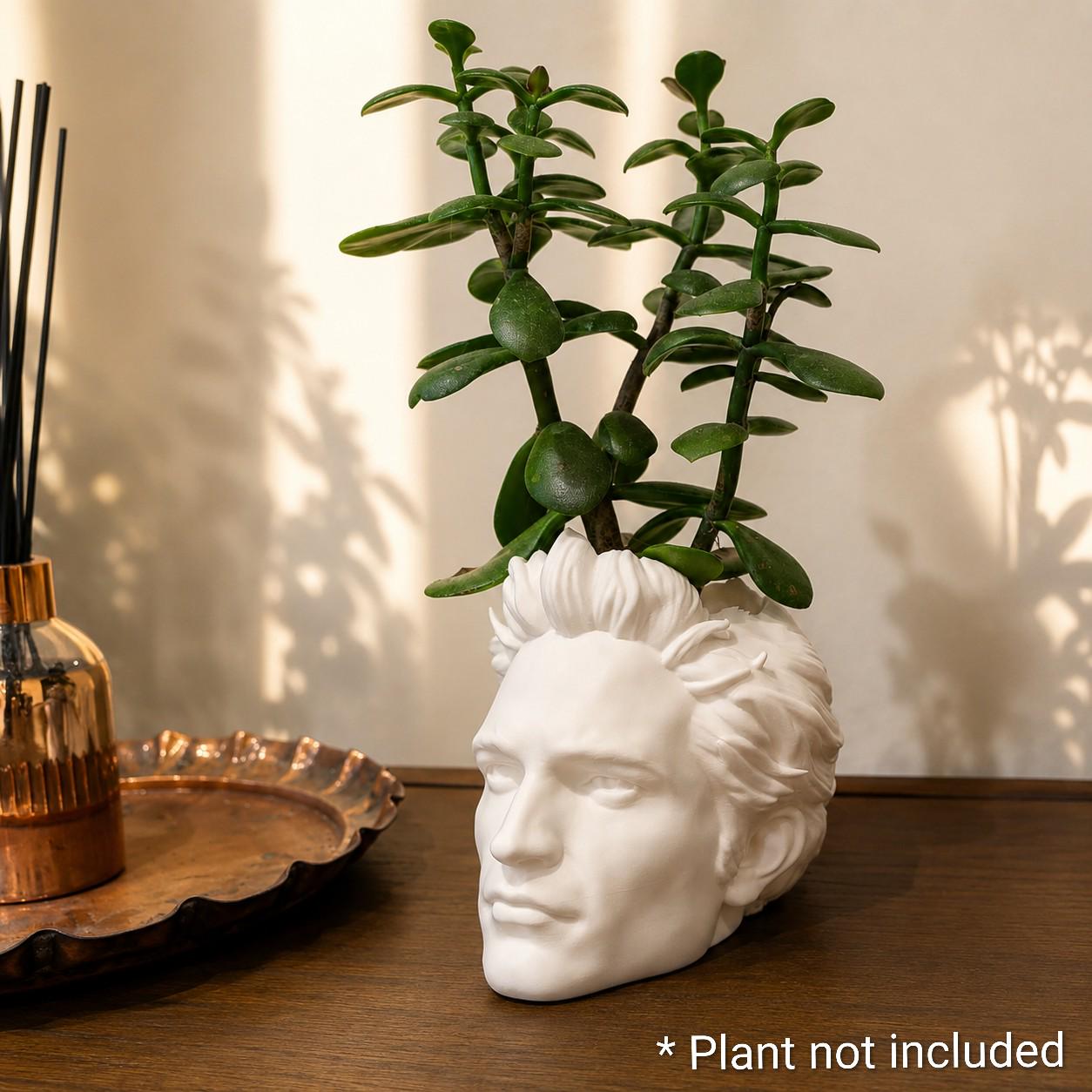 Edward Cullen Inspired Head Planter | Twilight Fan Art | 3D Printed Gothic Plant Pot