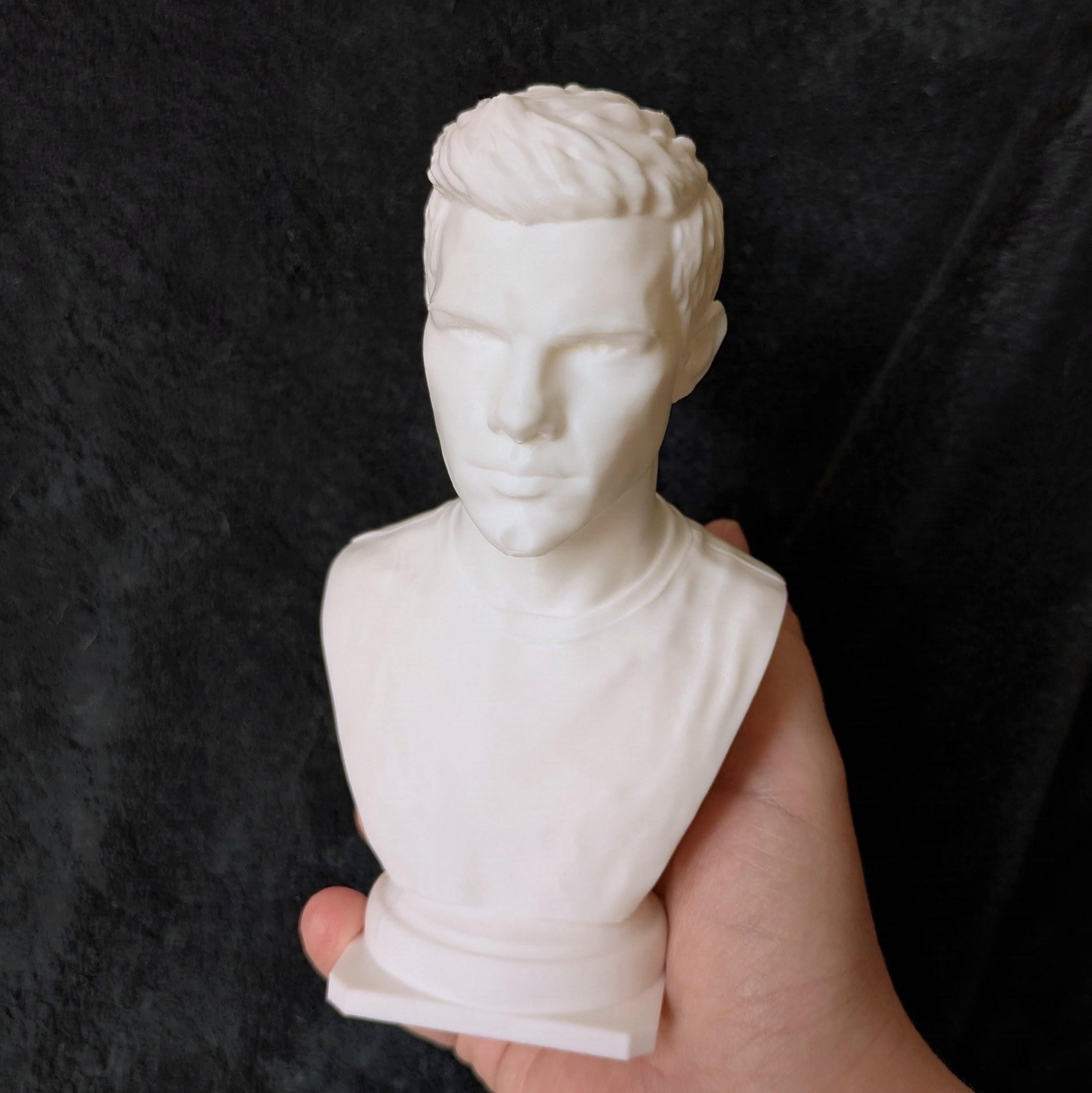 Jacob Black Inspired Bust | Twilight Fan Art | 3D Printed Bookshelf Decor