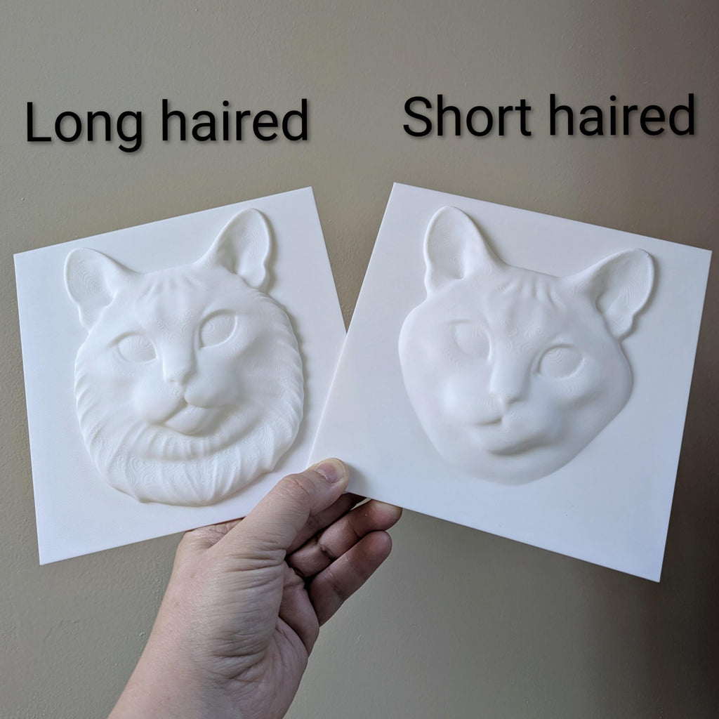 Paint Your Own Cat Canvas | 3D Printed Cat Face | Creative Cat Lover Gift