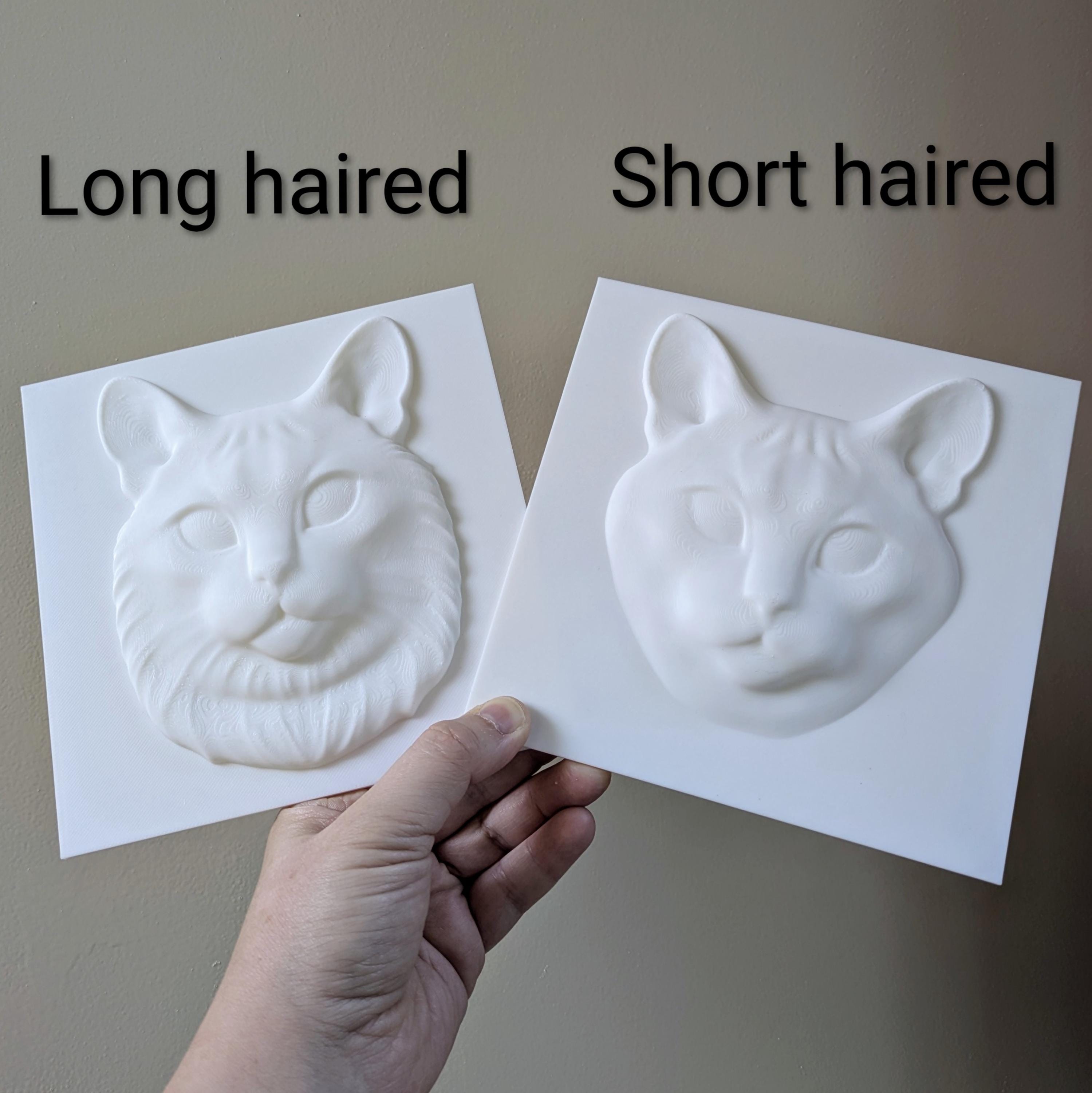 Paint Your Own Cat Canvas | 3D Printed Cat Face | Creative Cat Lover Gift