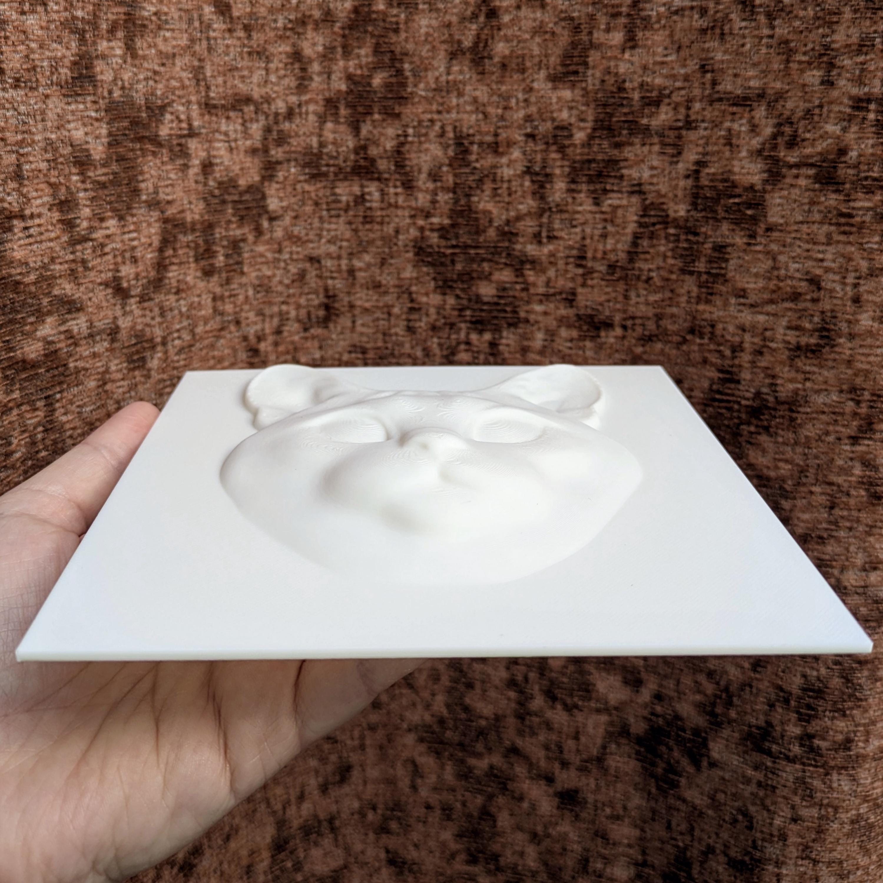 Paint Your Own Cat Canvas | 3D Printed Cat Face | Creative Cat Lover Gift